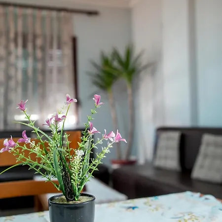 Appartement Gega's